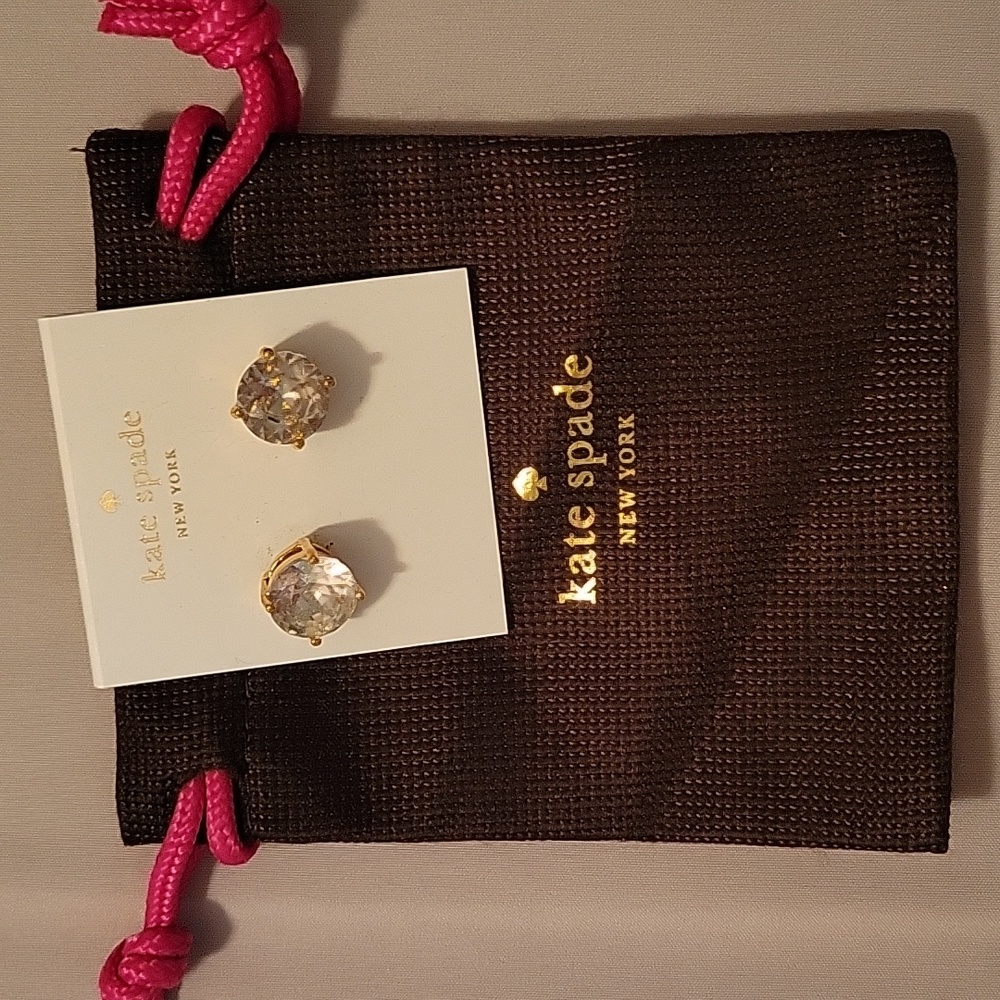 NWT Kate Spade earrings with bag